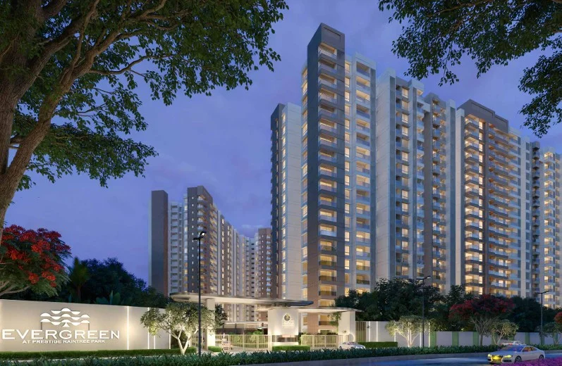 Prestige Evergreen