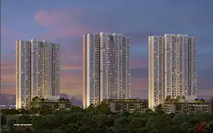 Alembic Cloud Forest