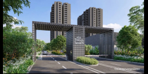 Assetz Trees and Tandem