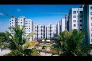 Bren Northern Lights