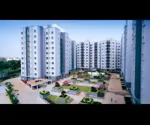 Bren Northern Lights