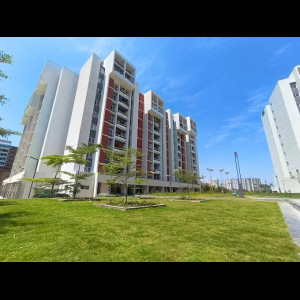 Bricks and Milestones Wonderwall