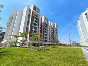 Bricks and Milestones Wonderwall