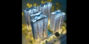 Clover Spring Homes