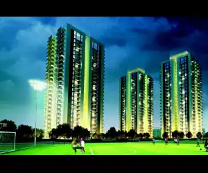 Conscient Heritage One