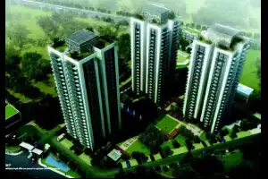 Conscient Heritage One