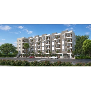 Dhiraan Newyork Meadows