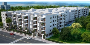Dhiraan Newyork Meadows