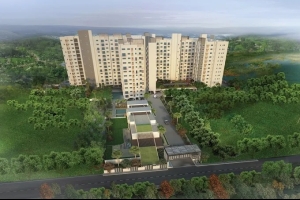 DSR Waterscape