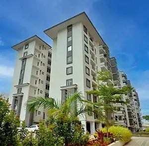 Elegant Whispering Winds