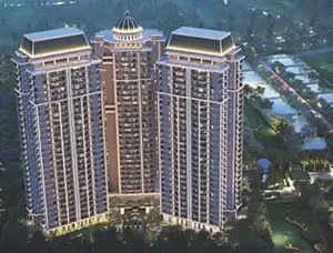 Greenbay The Monarque