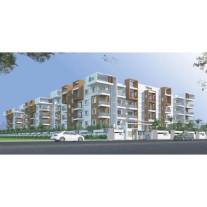 Hilife Triflora