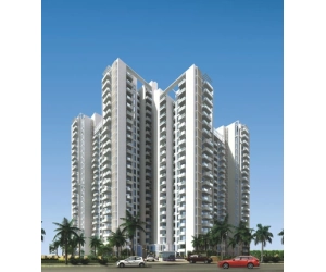 ILD Grand 37C