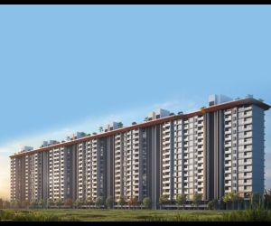 Itrend Vesta