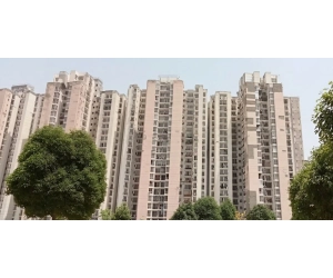 Jaypee Aman