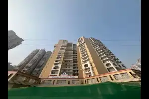 Keltech Kumar Imperial Greens