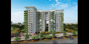 Kolte Patil 24K Grazio