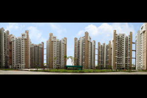 Logix Blossom Greens