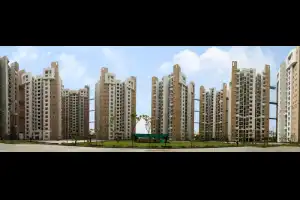 Logix Blossom Greens