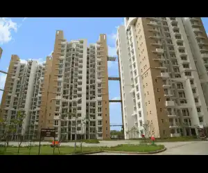 Logix Blossom Greens