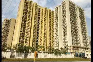 Maxblis Grand Wellington