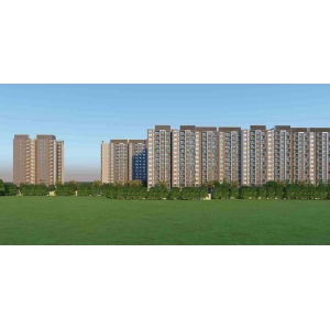 Meda East Winds