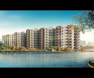 Mittal Palms