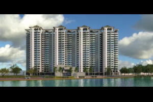 NCC Urban Lake Springs