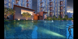 Nyati Emerald