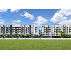 Oakstone Sn Celeste