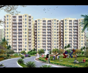 Orris Aster Court