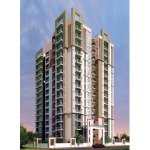 Parakh Golden Maple