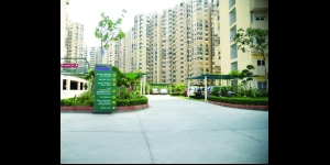 Paramount Floraville