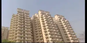 Pivotal Riddhi Siddhi