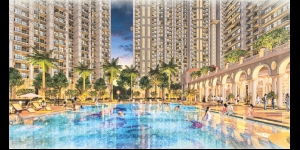 Prateek Grand Begonia