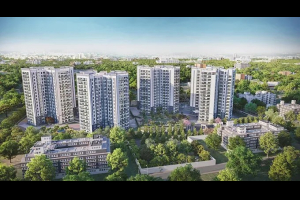 Prestige Pine Forest