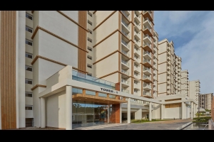 Prestige Pinewood