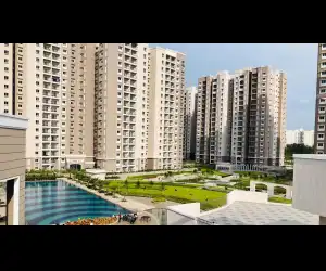 Prestige Song Of The South