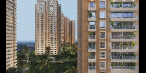 Prestige Southern Star