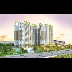 Purva Sunflower