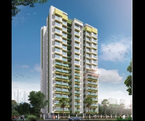 Rajshree Clover