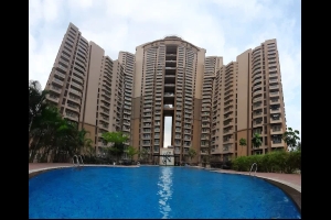 Sattva Gold Summit