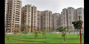 Stellar Jeevan