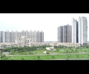 Supertech Upcountry