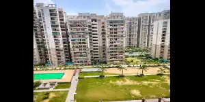 Town Park White Orchid