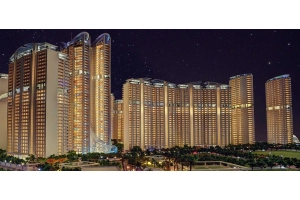 Unity Group The Amaryllis