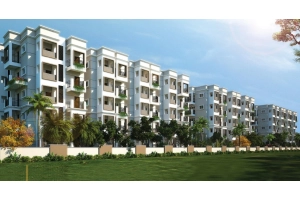 Vaishno Solitaire