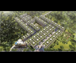 Whiteland Blissville