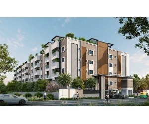 Whitestone Twinkles