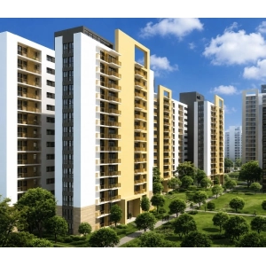 YPS Dwarika